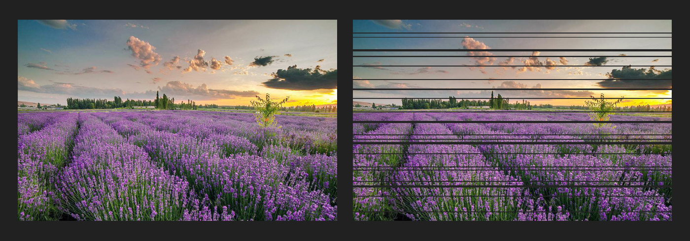 詳情5.jpg 詳情5.jpg